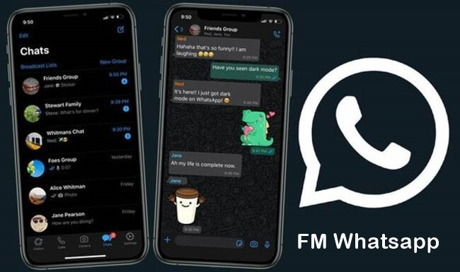 Apa Itu FM Whatsapp 9.45