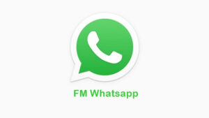 FM Whatsapp 9.45
