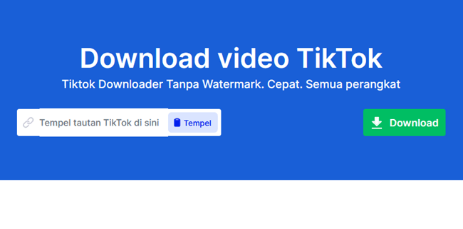 Download Sound Tiktok Melalui Snaptik