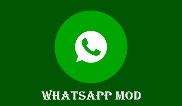 Cara Pemasangan WhatsApp Mod Secara Manual