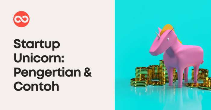 What is a Unicorn Startup? Standar Gaji Bekerja Di Perusahaan Startup Unicorn