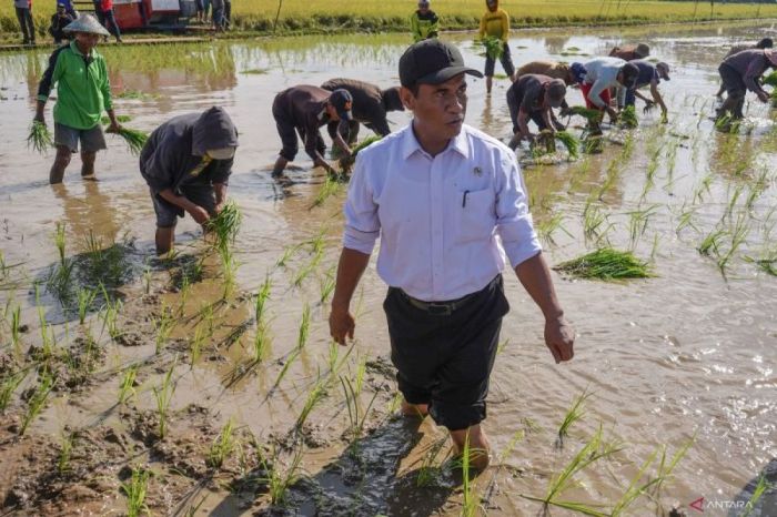 Pemerintah Bentuk Indonesia Salt Institute Kejar Swasembada Garam Nasional